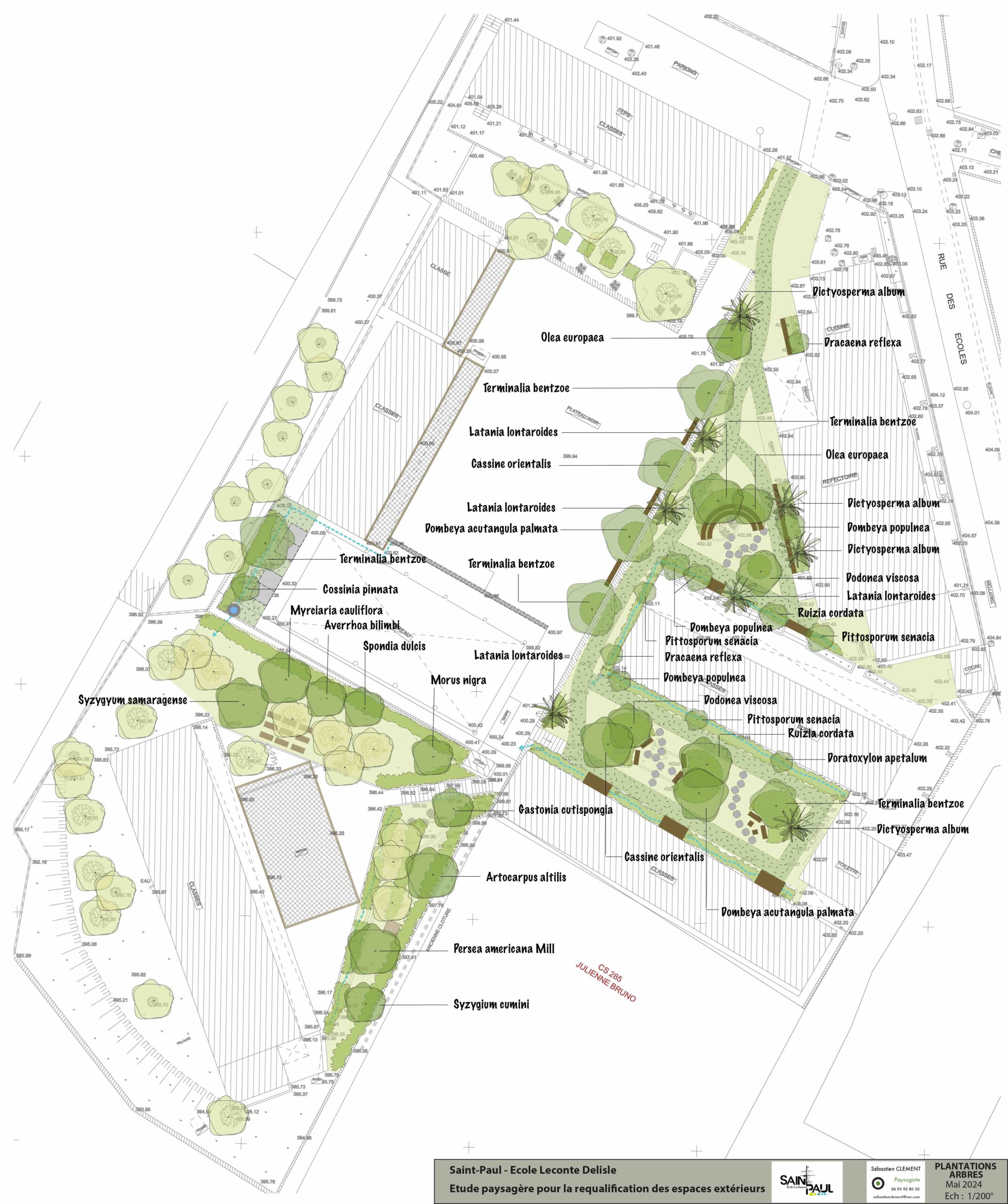 17 juillet 2024 :  Travail en cours : renaturation des espaces extérieurs de l’Ecole Leconte Delisle